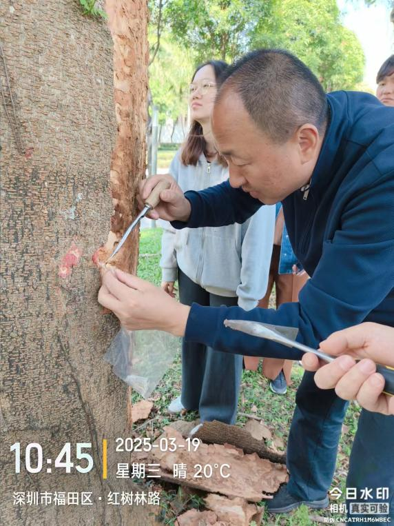 图片4.png