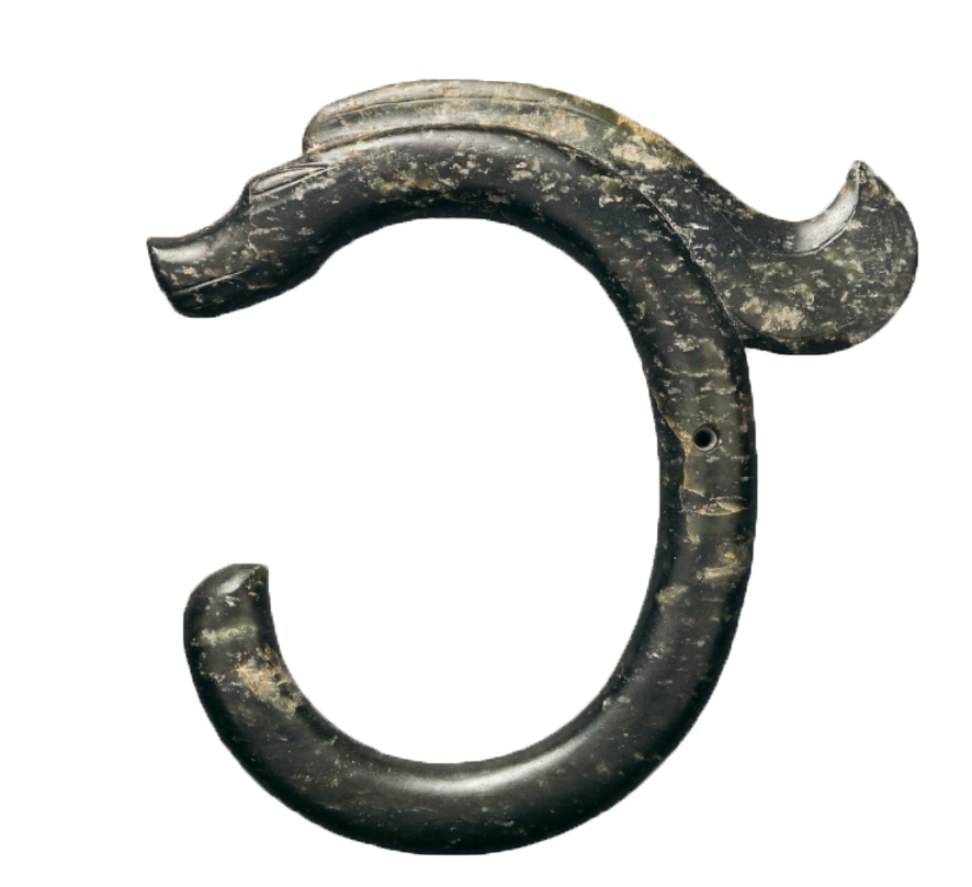“C”型龙.png